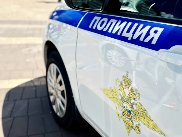 В Самарской области ищут водителя, сбившего пешехода на трассе