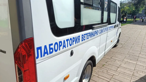 В Самаре директора наказали за продажу ветпрепаратов без лицензии
