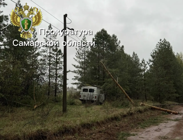 В Самарской области погиб рабочий во время спила деревьев