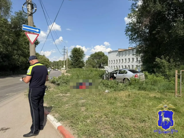 Разбился насмерть: в Самаре 9 июля водитель "Шкоды" врезался в фонарный столб 