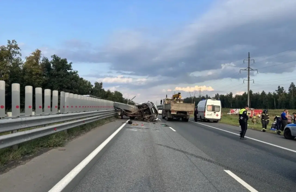 На трассе М5 в Самарской области столкнулись две "Газели": семь человек в больнице