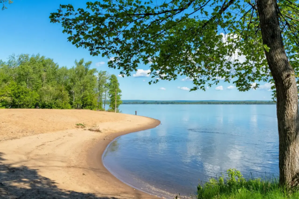 Из-за жары в Самаре усилят контроль за лесами и местами отдыха у воды