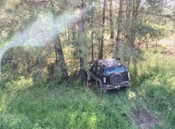72-летний водитель "Оки" погиб в ДТП с "Нивой" на трассе в Самарской области