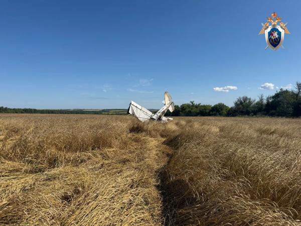 В Самарской области возбуждено уголовное дело из-за крушения самолета