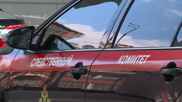 Председатель СК России взял на контроль дело о преследовании семьи в Сызрани