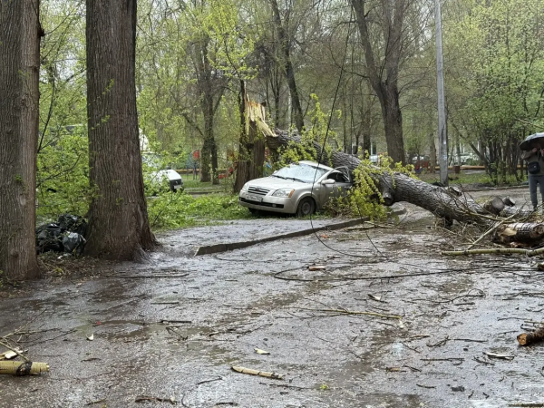 Последствия непогоды: в Самаре 27 апреля деревья повалились на людей и автомобили