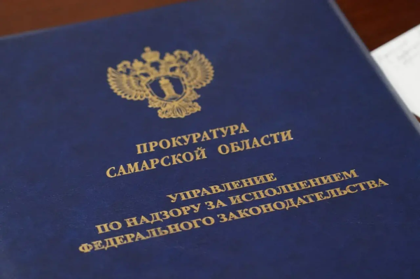 В Самарской области оштрафовали владельца приюта для животных