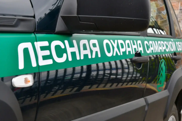 В Ставропольском лесничестве ликвидировали природный пожар