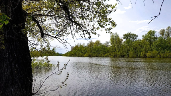 14 человек погибли на воде с начала купального сезона в Самарской области