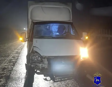 65-летний мужчина погиб под колесами "Газели" на трассе М5 в Самарской области